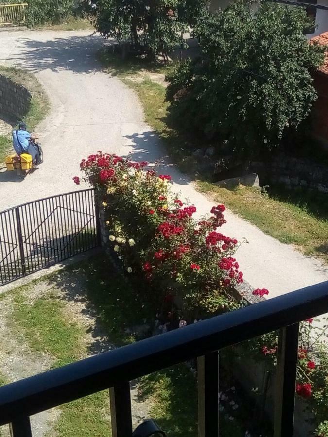 Готель Sobe Seka Ґолубац Екстер'єр фото